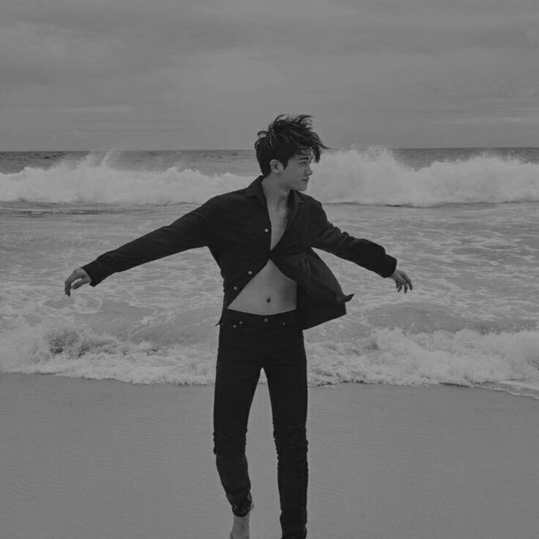 Park Hyungsik : Seorang panutan yang penuh karisma, mengikuti beberapa dramanya juga.